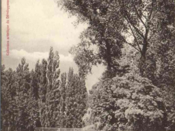 102 annappes - le parc - le pont de fer